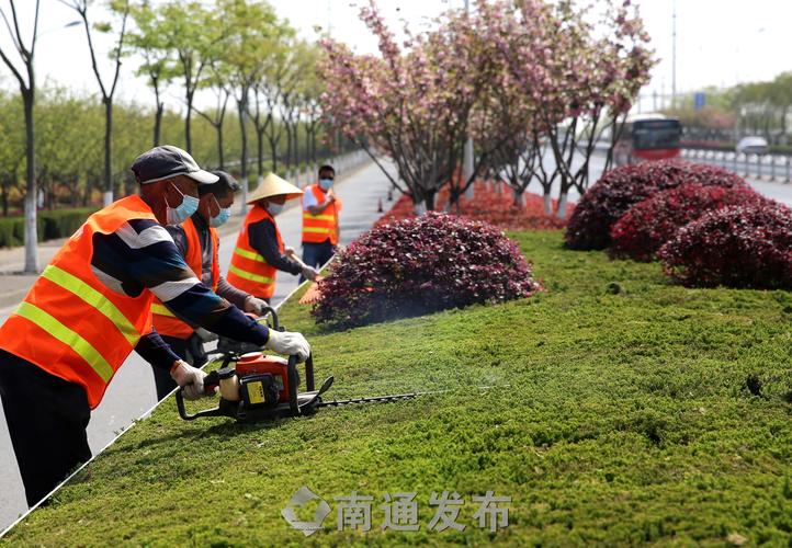 微生物与人城市绿化