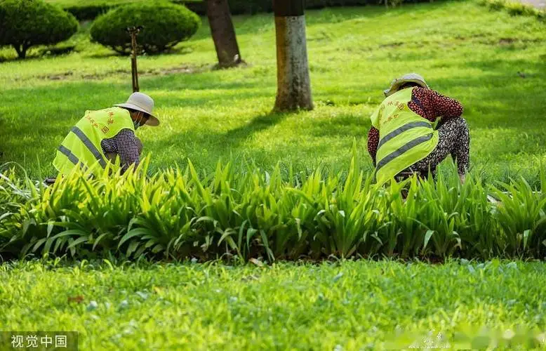 绿化养护的生态效益与生物多样性保护