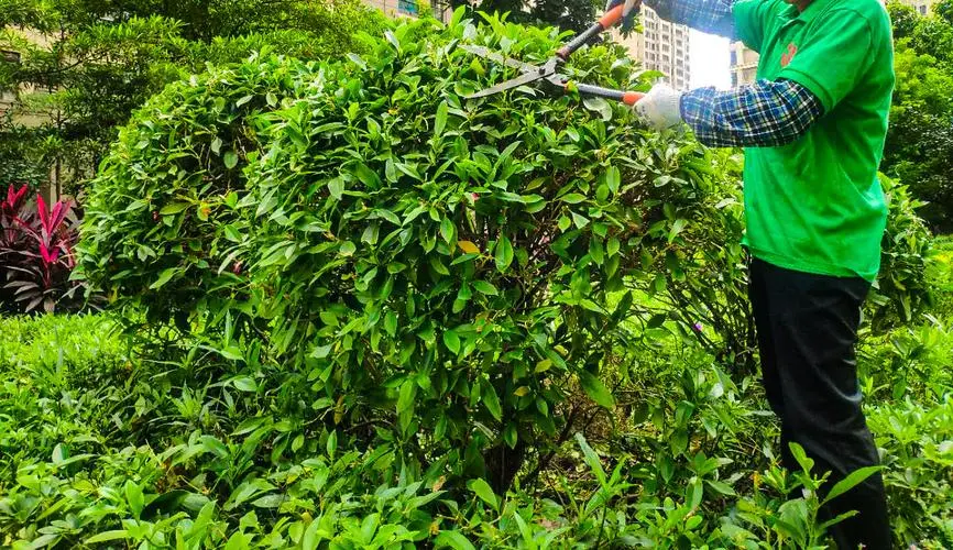 保定绿化工程企业总裁研修班报名