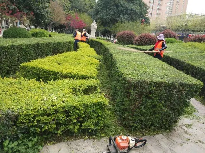 小区市政绿化工程包括哪些
